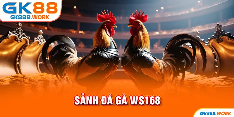 Sảnh đá gà ws168